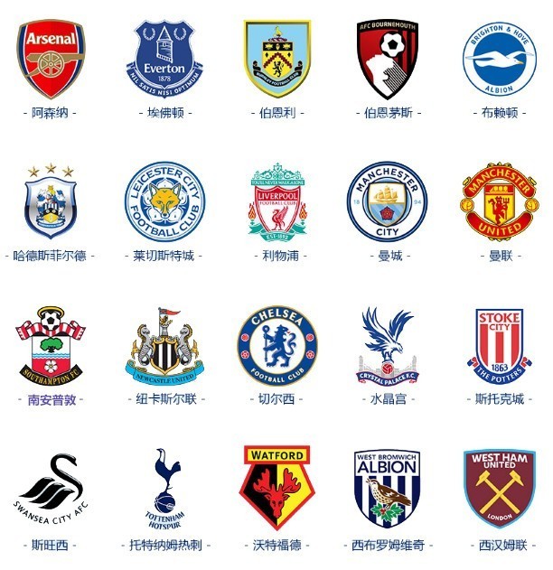 杨瀚森可用 杨瀚森可用